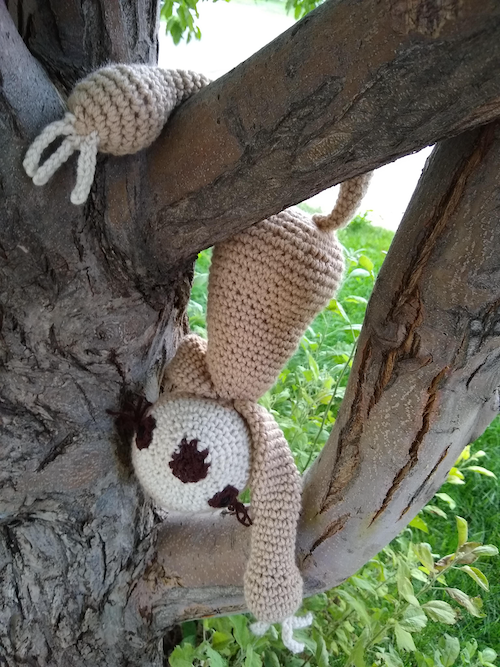 3-Toed Sloth