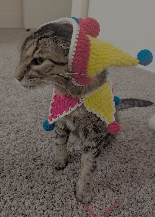Cat Jester — view 2