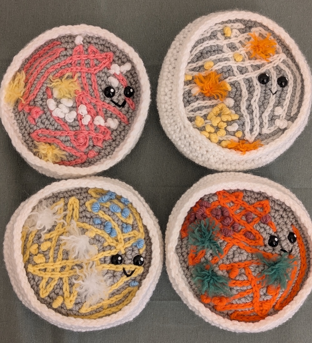 Petri Dishes